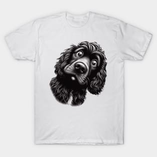 boykin spaniel confused T-Shirt